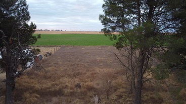 Amplio lote en sector quintas de General Pico.